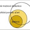Obecně lze říct, že každé 4. – 7. dítě má školní obtíže